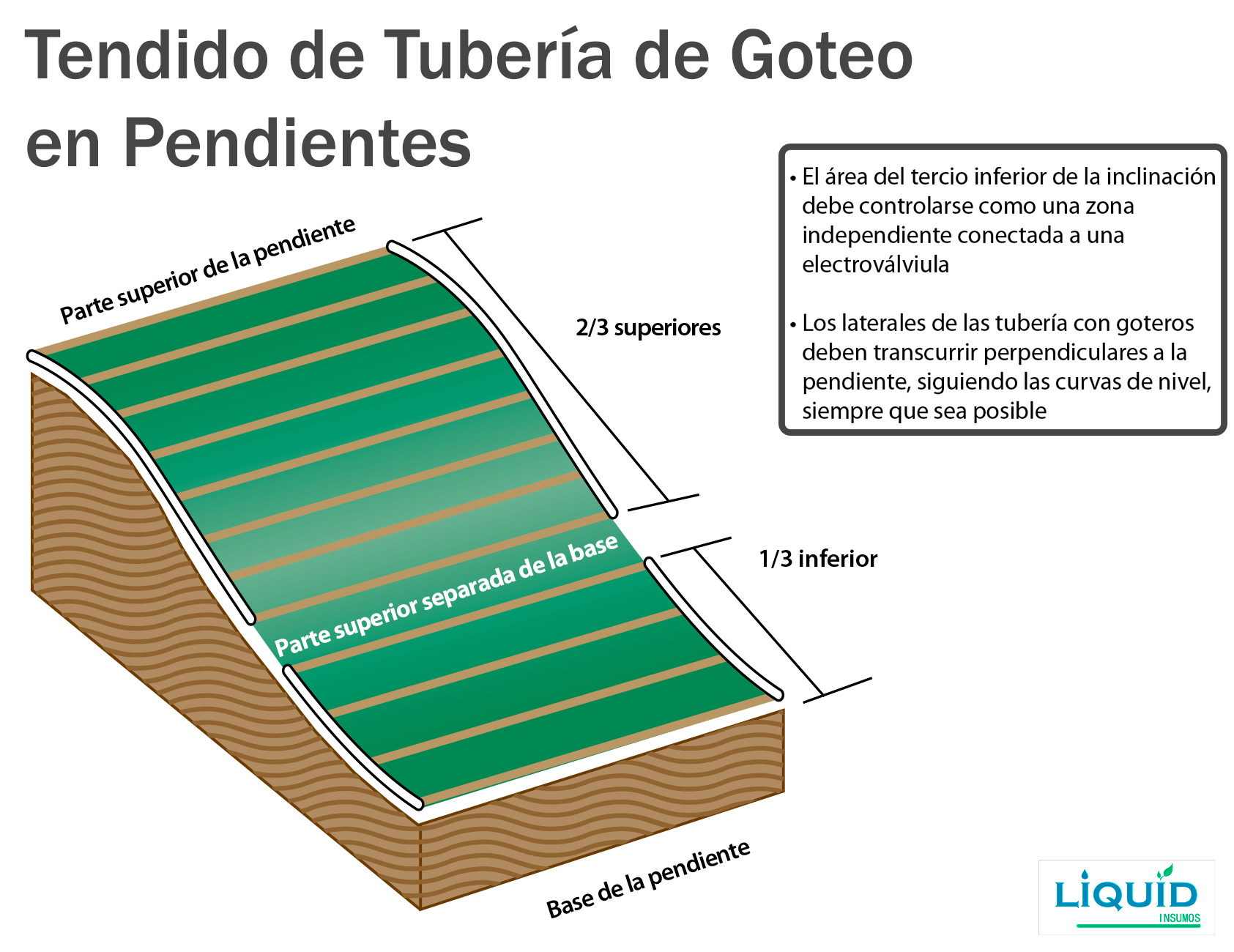 Tubería de goteo subterráneo Rain Bird XFS en funcionamiento